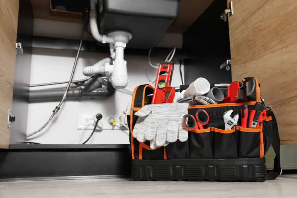 Best Plumbing Services Near Me  in Shell Rock, IA